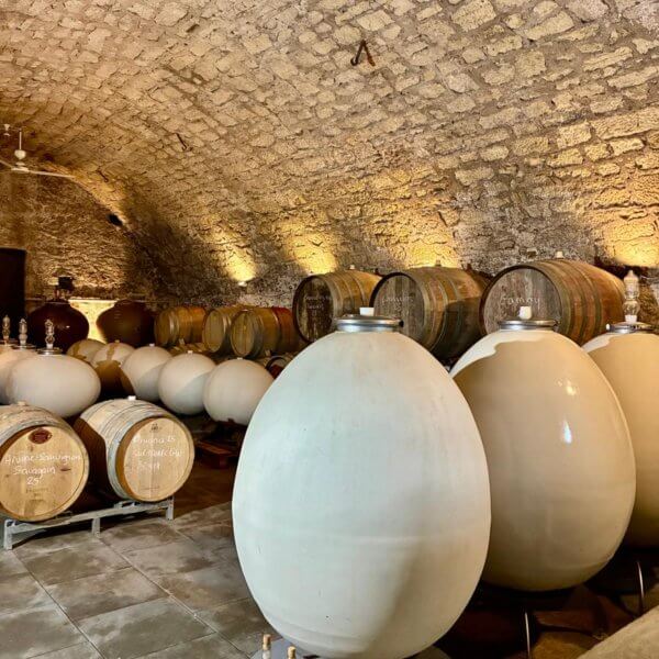 WhatsApp Image 2025-11-05 at 11.34.08